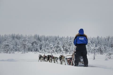 Husky Farm Visit with Husky Safari - Saariselkä