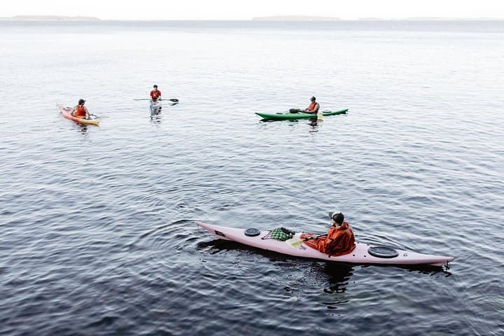 Your professional kayaking guide will keep the group feeling safe and comfortable.