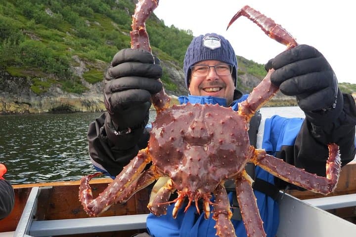 Full-Day Trip: King Crab Safari to Norway from Saariselkä Including Lunch