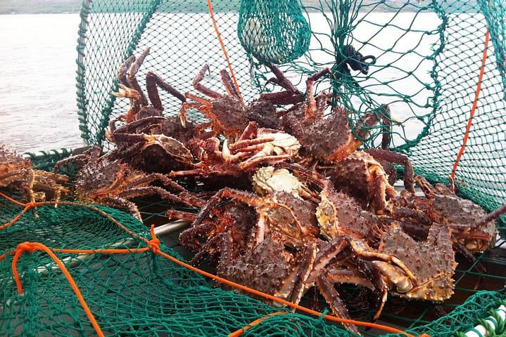 Full-Day Trip: King Crab Safari to Norway from Saariselkä Including Lunch