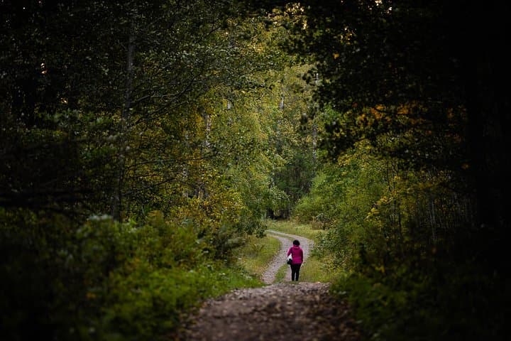 Experience the unspoilt nature of Vallisaari