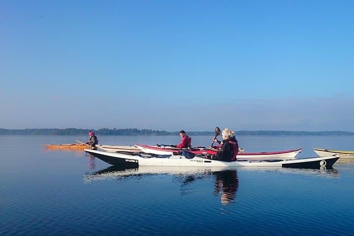 Full-Day Guided Sea Kayaking in Turku Archipelago
