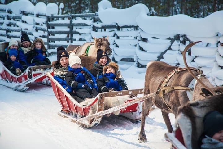 In Pursuit of Reindeer - Snowmobile safari and reindeer farm