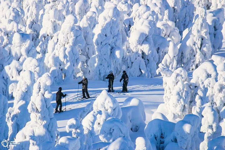 Cross Country Skiing Experience - Rovaniemi
