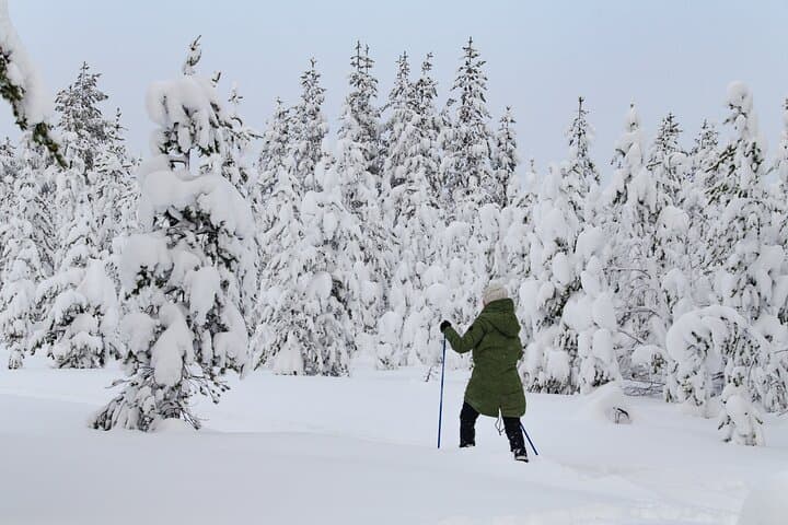 Snowshoeing Adventure with Ice-Fishing, Fire and Survival