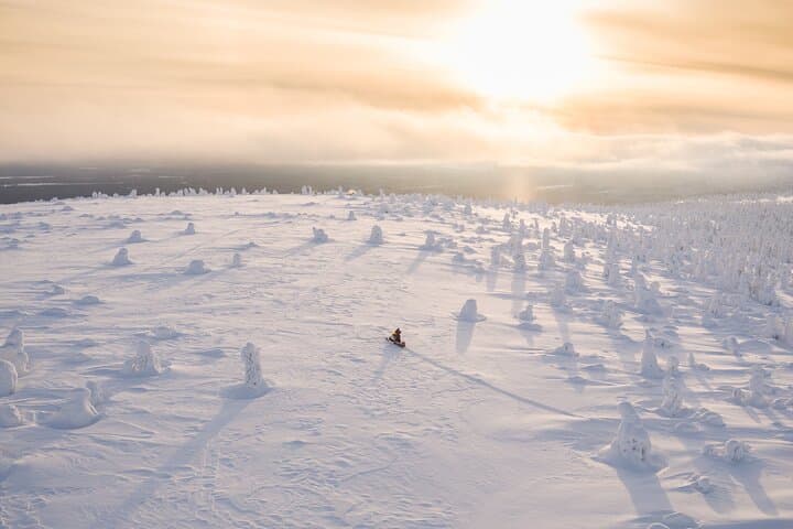Snowmobiling Adventure in Levi