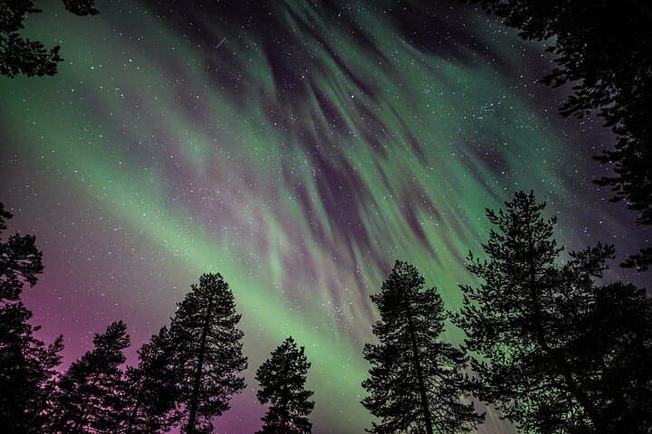 Aurora Hunt and Photography Tour from Rovaniemi