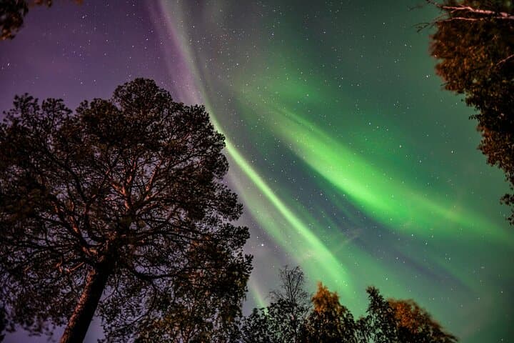 Aurora Hunt and Photography Tour from Rovaniemi