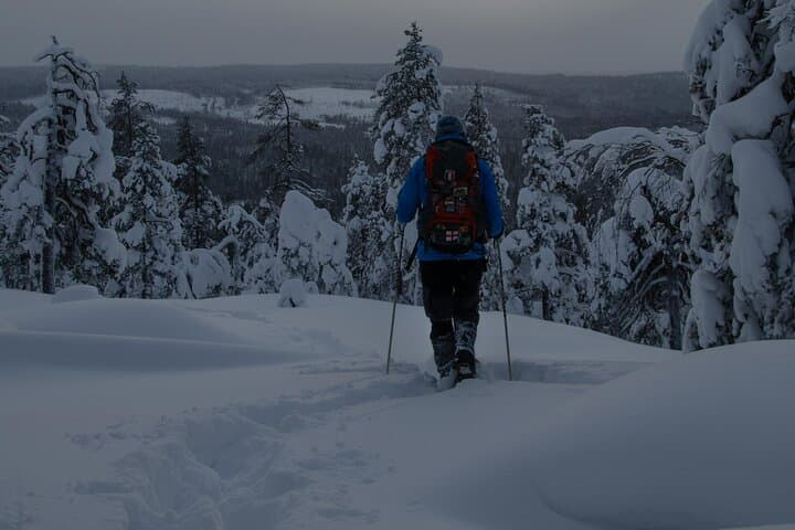 Aurora Borealis Snowshoeing Adventure by Night from Rovaniemi