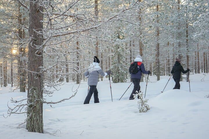 Backcountry Ski Adventure from Rovaniemi