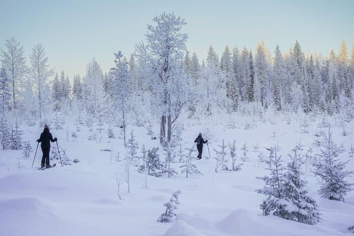 Backcountry Ski Adventure from Rovaniemi
