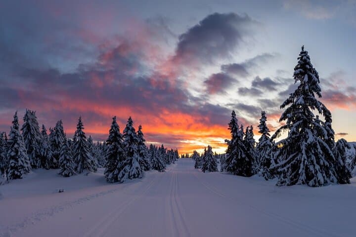 Private guided tour from Rovaniemi to Kakslauttanen