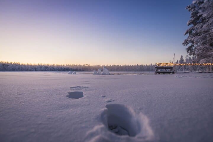 The Ultimate Lappish Adventure, Full Day Tour, Meals Included
