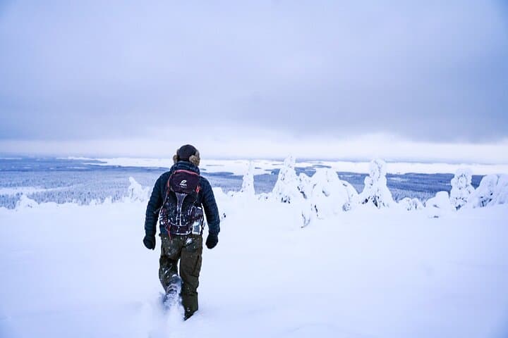 Exploring Riisitunturi National Park