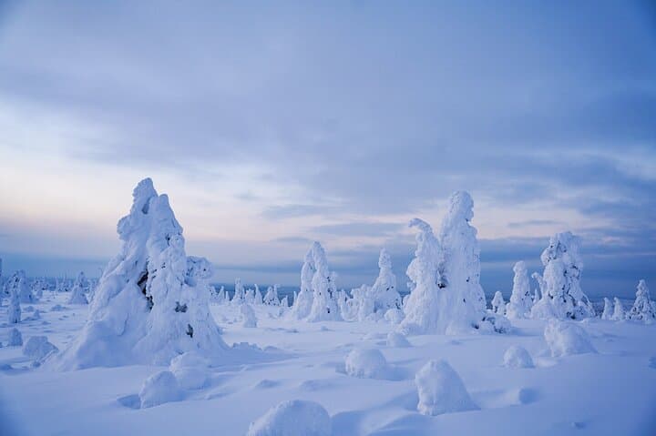 Riisitunturi National Park
