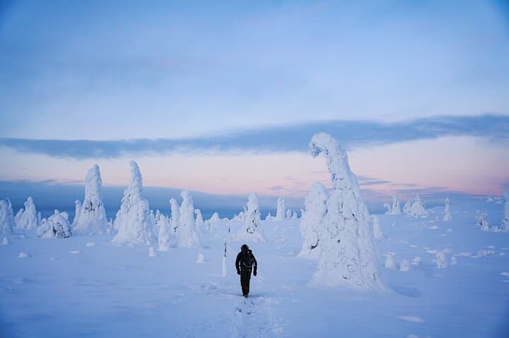 Walking through the snowy forest in Riisitunturi National Park
