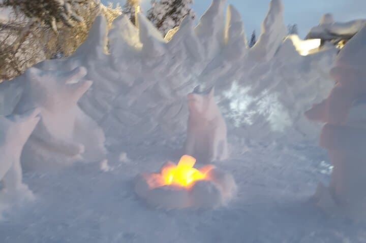 Private guided tour from Rovaniemi to Kakslauttanen