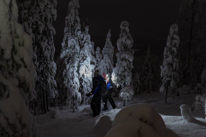 Aurora Borealis Snowshoeing Adventure by Night from Rovaniemi