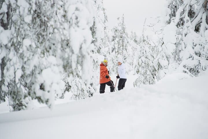 Premium Snowshoeing in Pyhä-Luosto National Park