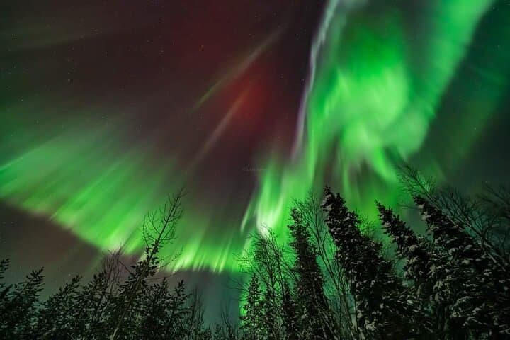 Northern Lights Hunting Tour Rovaniemi