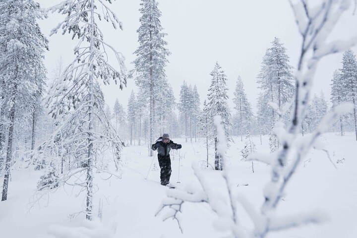 Half-Day Backcountry Skiing Tour in Levi with Photography Guide