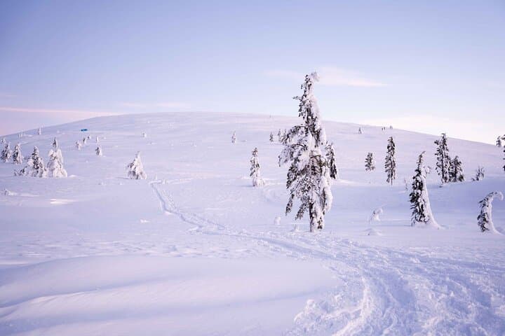 Half-Day Backcountry Skiing Tour in Levi with Photography Guide