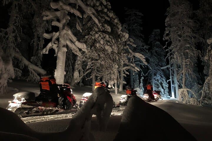 Driving through the forest at night