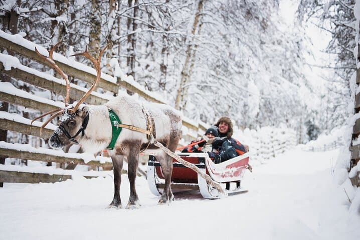 Rovaniemi 2 days Activities Package