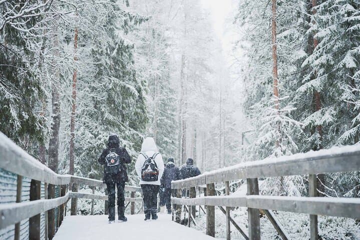 Ranua Wildlife Park Day : Visit the Arctic Animals!