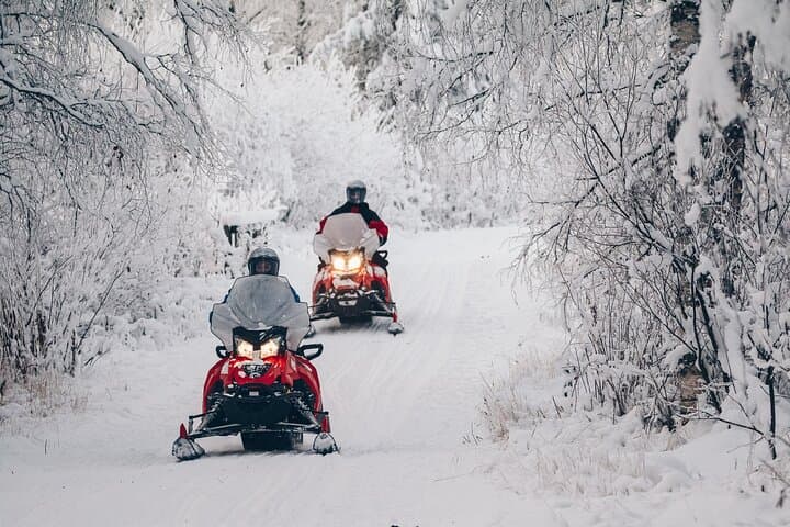 2-hour Snowmobile Safari into the Wilderness, Rovaniemi