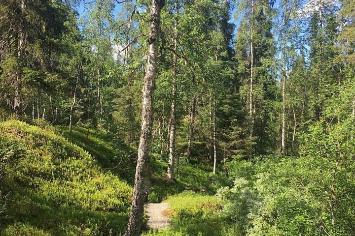 Rovaniemi: Korouoma Canyon Hike and Barbecue Experience