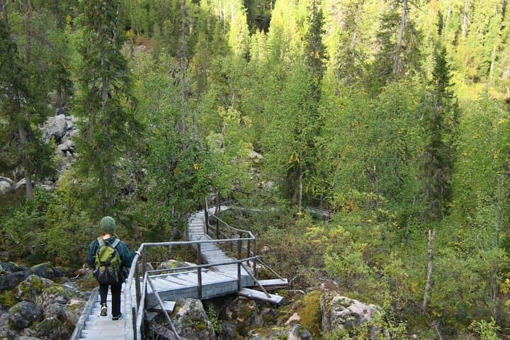 Rovaniemi: Korouoma Canyon Hike and Barbecue Experience