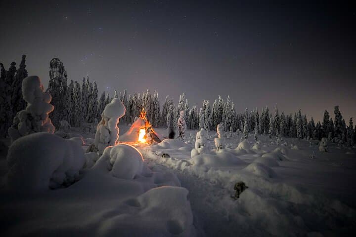 Night Snowshoeing Adventure