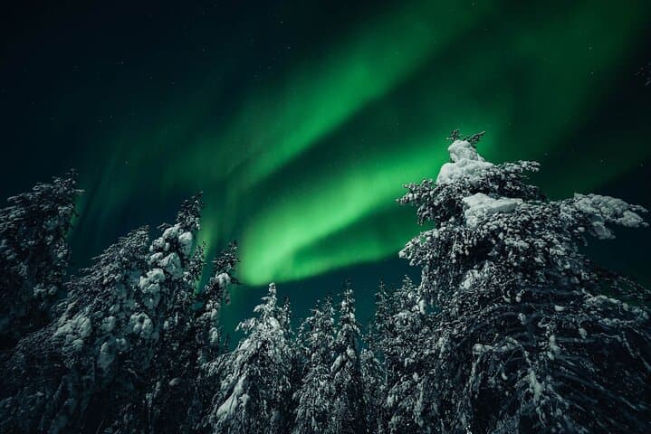 Rovaniemi: Small group northern lights hunt-money back guarantee