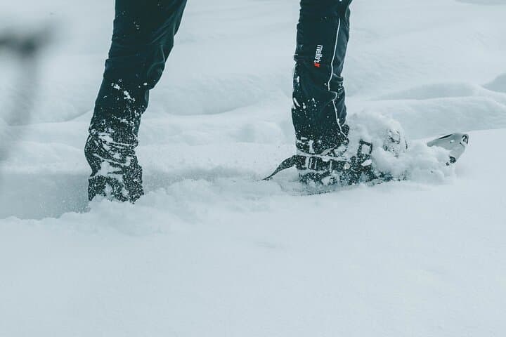 Rovaniemi: Snowshoeing in a Instagrammable forest with BBQ
