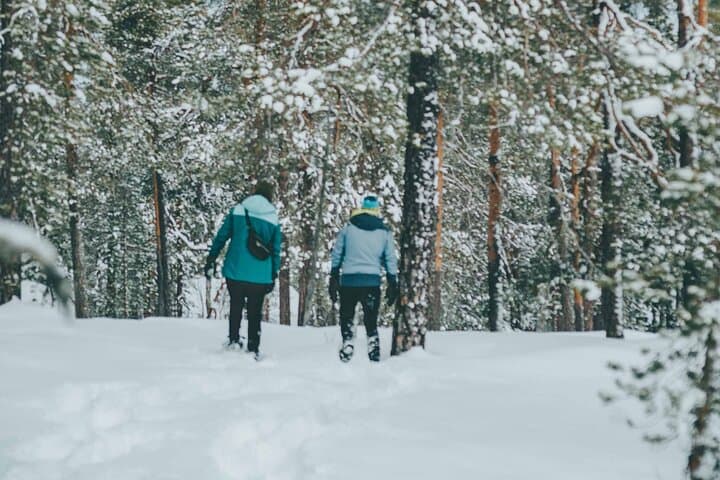 Rovaniemi: Snowshoeing in a Instagrammable forest with BBQ