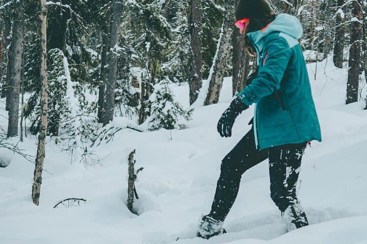 Rovaniemi: Snowshoeing in a Instagrammable forest with BBQ