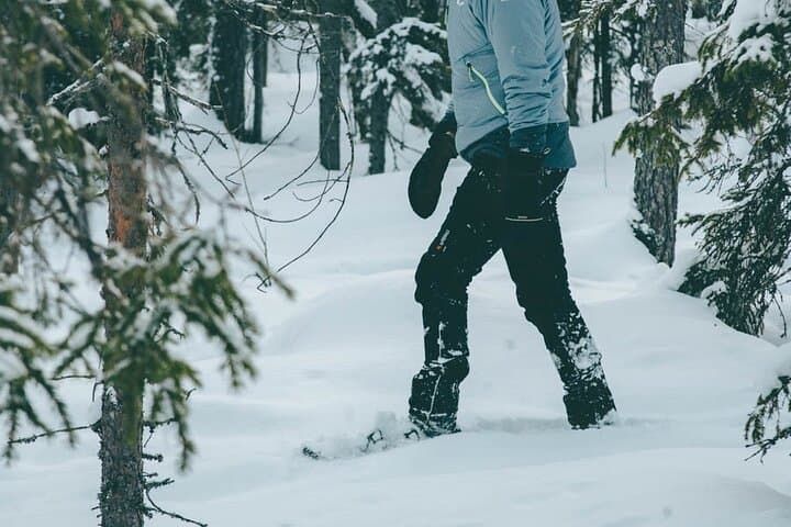Rovaniemi: Snowshoeing in a Instagrammable forest with BBQ