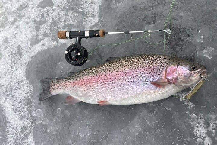 Ice fishing experience