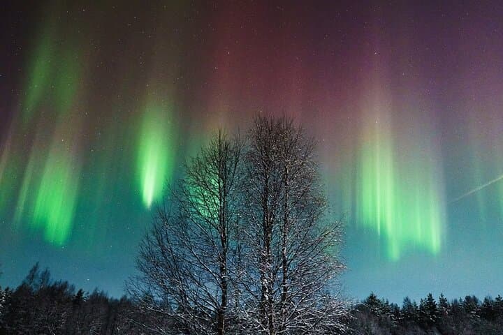 Rovaniemi: Small group northern lights hunt-money back guarantee