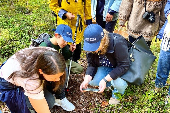 Berry Picking in a National Park