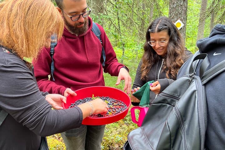 Berry Picking in a National Park