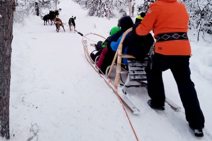 Husky Sledding Ride in Levi 5 KM