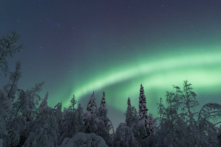 Northern Lights Hunting Photo Tour in Ylläs