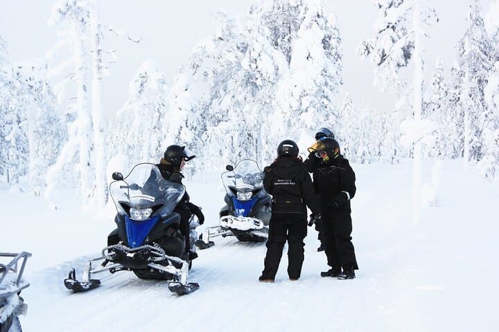 Snowmobile Safari and Reindeer Farm Visit