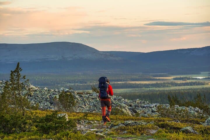 Arctic Wilderness Hike from Rovaniemi: Midnight sun & Sunset