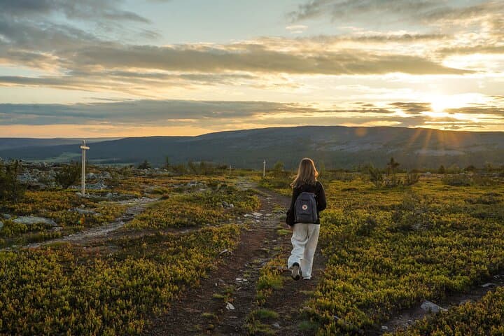Arctic Wilderness Hike from Rovaniemi: Midnight sun & Sunset
