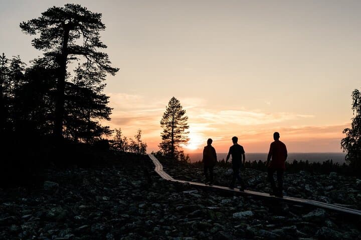 Arctic Wilderness Hike from Rovaniemi: Midnight sun & Sunset