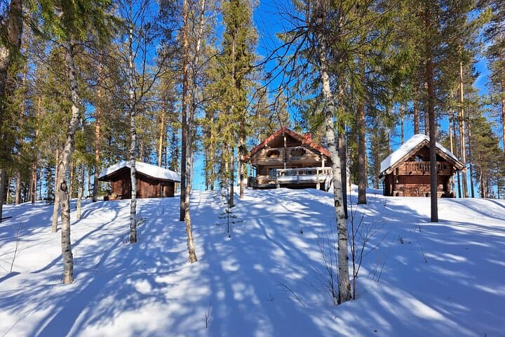 2 Days Snowmobile Shipping to Finnish Lapland