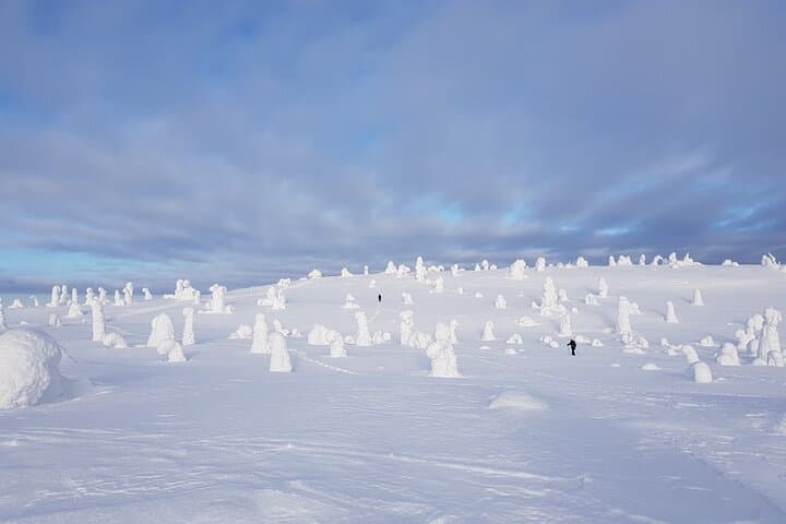 Riisitunturi National Park Snowshoe Adventure from Ruka-Kuusamo